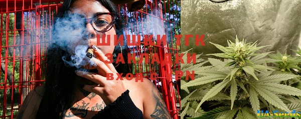 тгк Абаза