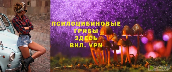 ГАЛЛЮЦИНОГЕННЫЕ ГРИБЫ Абинск