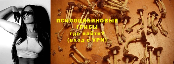 тгк Абаза