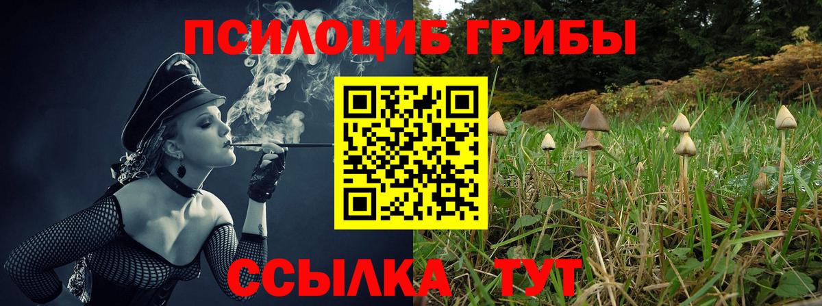 Галлюциногенные грибы Cubensis  магазин    Уфа  Вход с VPN 